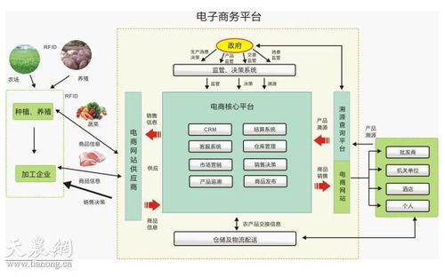 农产品电子商务平台项目可行性研究报告模板农产品电子商务平台项目申请报告